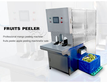 چین 220V ماشین آلات پردازش میوه و سبزیجات سیستم شستشوی اتوماتیک اتوماتیک تامین کننده