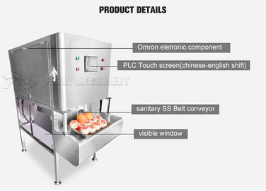 چین 1200pcs / H ماشین سبزیجات و میوه ها و لعاب ماشین آلات میوه و سبزیجات تامین کننده